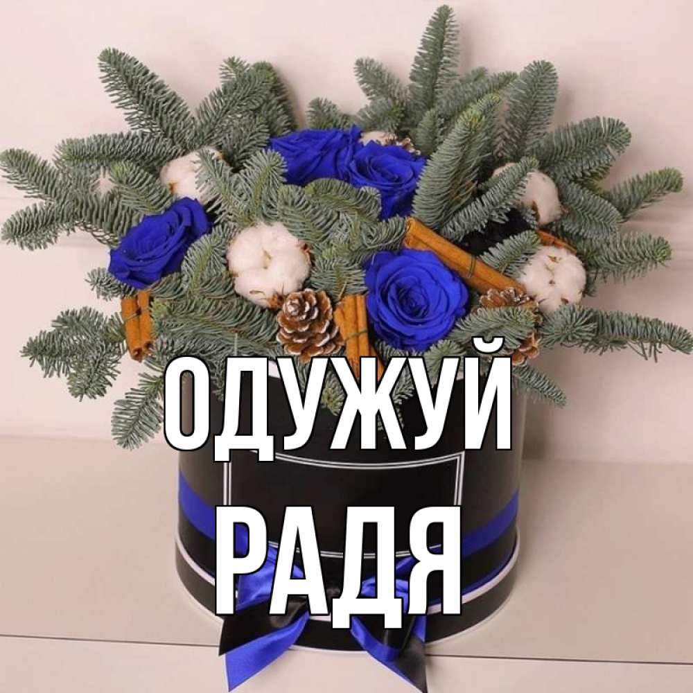 Открытка на каждый день з підписом, Радя Одужуй короче кто то загрузил эти шишки Прикольна листівка з побажанням онлайн скачати безкоштовно 