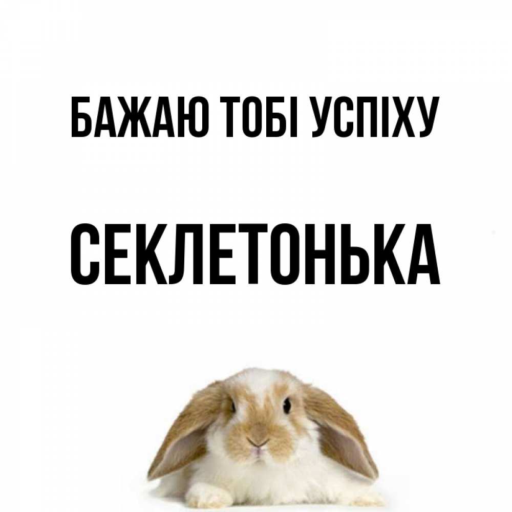 Открытка на каждый день з підписом, Секлетонька Бажаю тобі успіху открытки с произвольным текстом который можно вставить в открытку и создать ее самостоятельно бесплатно онлайн Прикольна листівка з побажанням онлайн скачати безкоштовно 