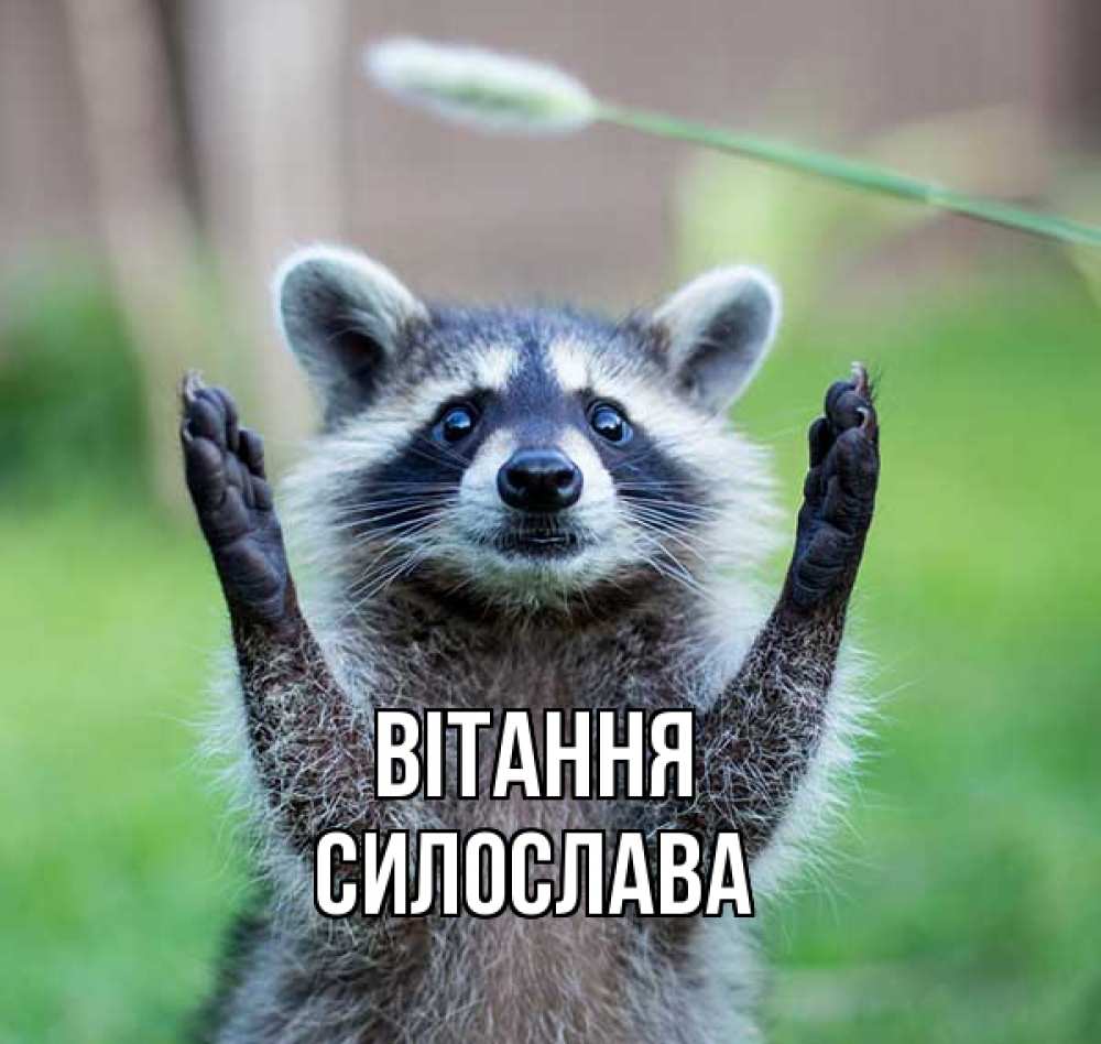 Открытка на каждый день з підписом, Силослава Вітання животные Прикольна листівка з побажанням онлайн скачати безкоштовно 