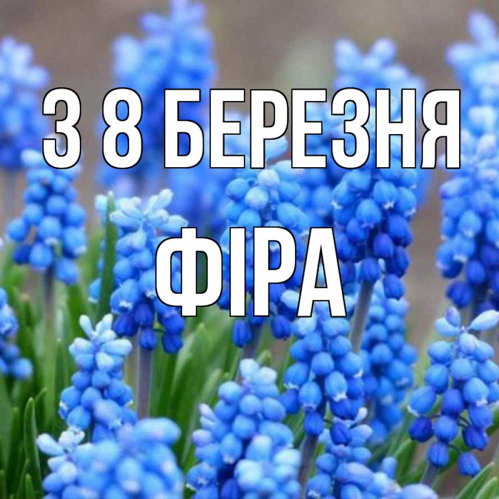 Открытка на каждый день з підписом, Фіра З 8 БЕРЕЗНЯ Поздравительная открытка для женщин с цветами на праздничную дату Прикольна листівка з побажанням онлайн скачати безкоштовно 