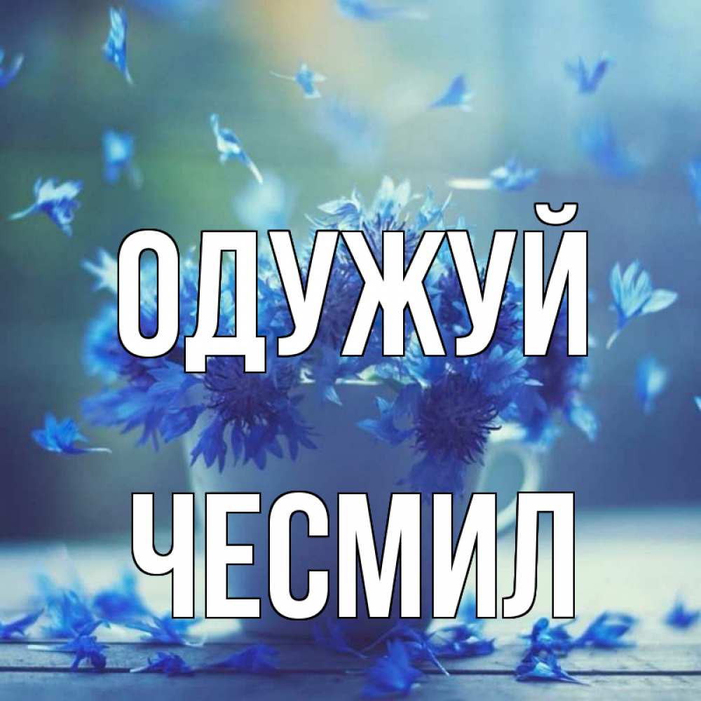 Открытка на каждый день з підписом, Чесмил Одужуй кружка с зельем и цветами Прикольна листівка з побажанням онлайн скачати безкоштовно 