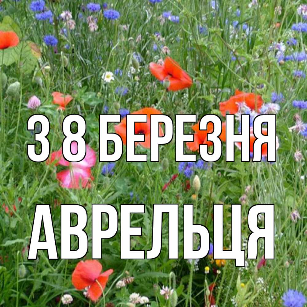 Открытка на каждый день з підписом, Аврельця З 8 БЕРЕЗНЯ международный женский день 4 Прикольна листівка з побажанням онлайн скачати безкоштовно 