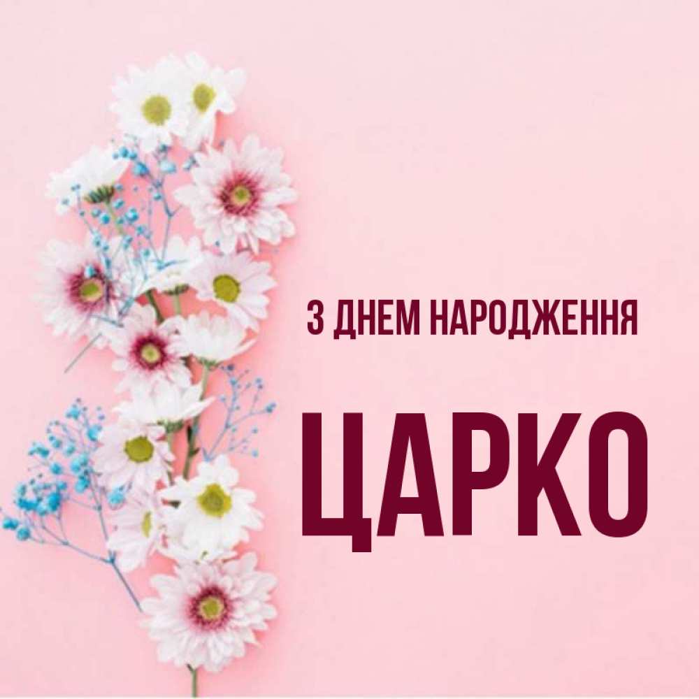 Открытка на каждый день з підписом, Царко З Днем народження Родная моя с днем рождения тебя картинка с цветами белыми и голубыми Прикольна листівка з побажанням онлайн скачати безкоштовно 