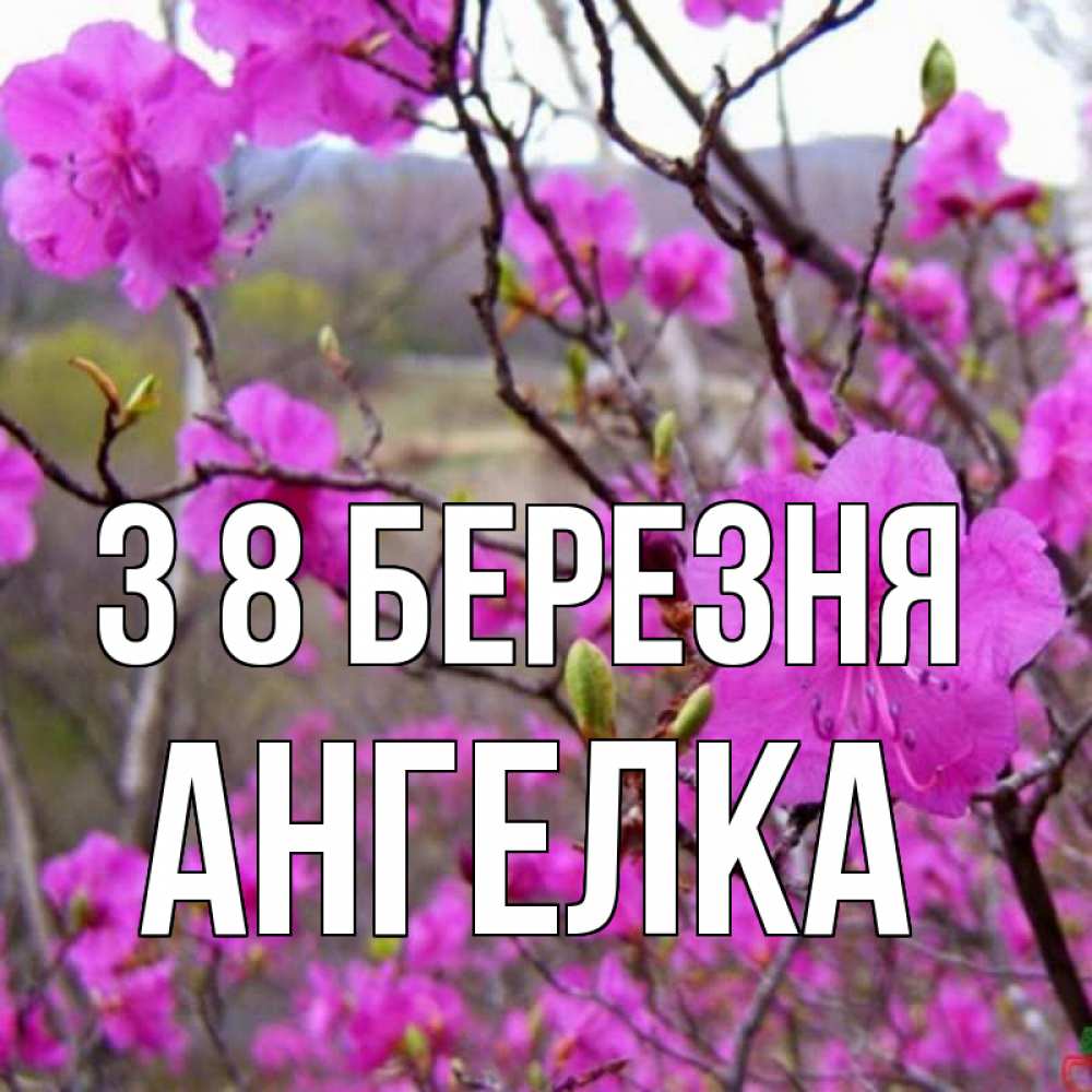 Открытка на каждый день з підписом, Ангелка З 8 БЕРЕЗНЯ международный женский день Прикольна листівка з побажанням онлайн скачати безкоштовно 