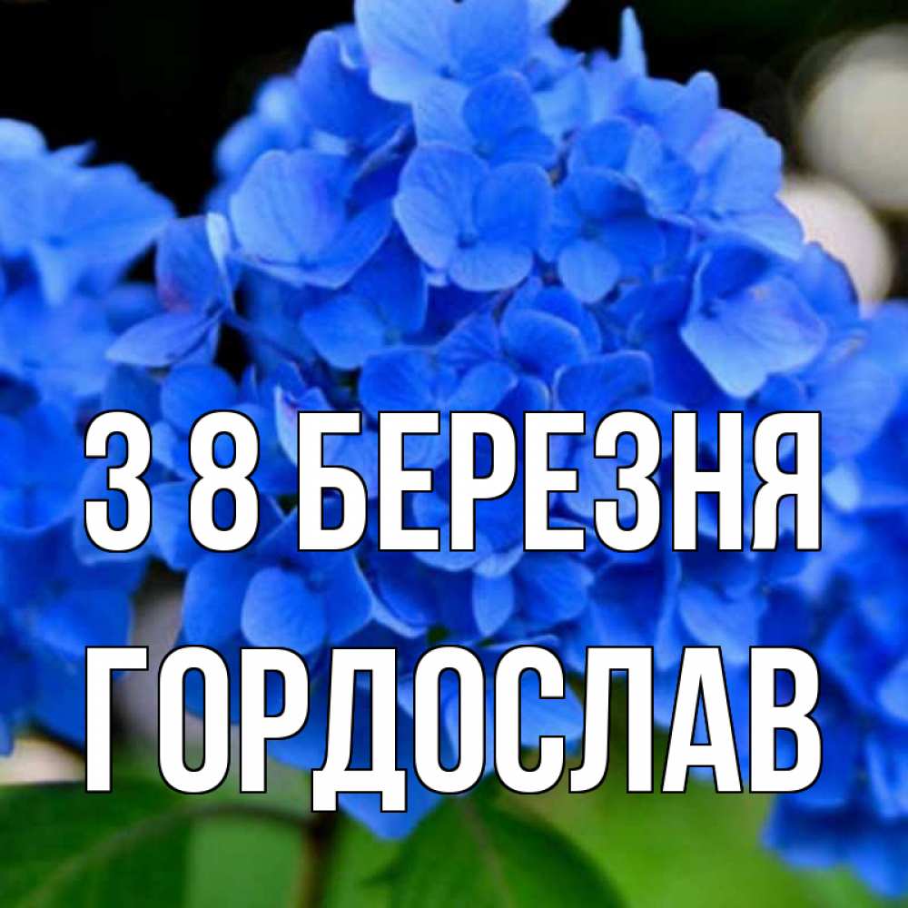 Открытка на каждый день з підписом, Гордослав З 8 БЕРЕЗНЯ синие цветы Прикольна листівка з побажанням онлайн скачати безкоштовно 