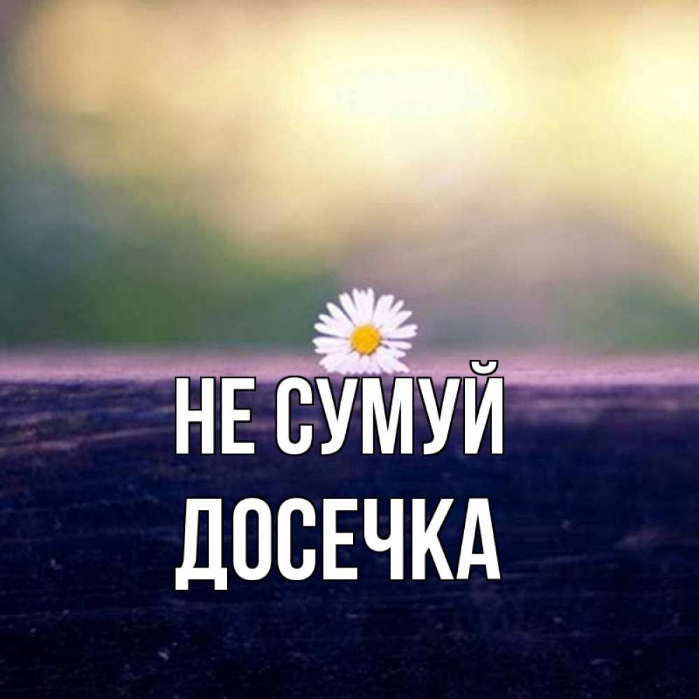 Открытка на каждый день з підписом, Досечка Не сумуй красота Прикольна листівка з побажанням онлайн скачати безкоштовно 