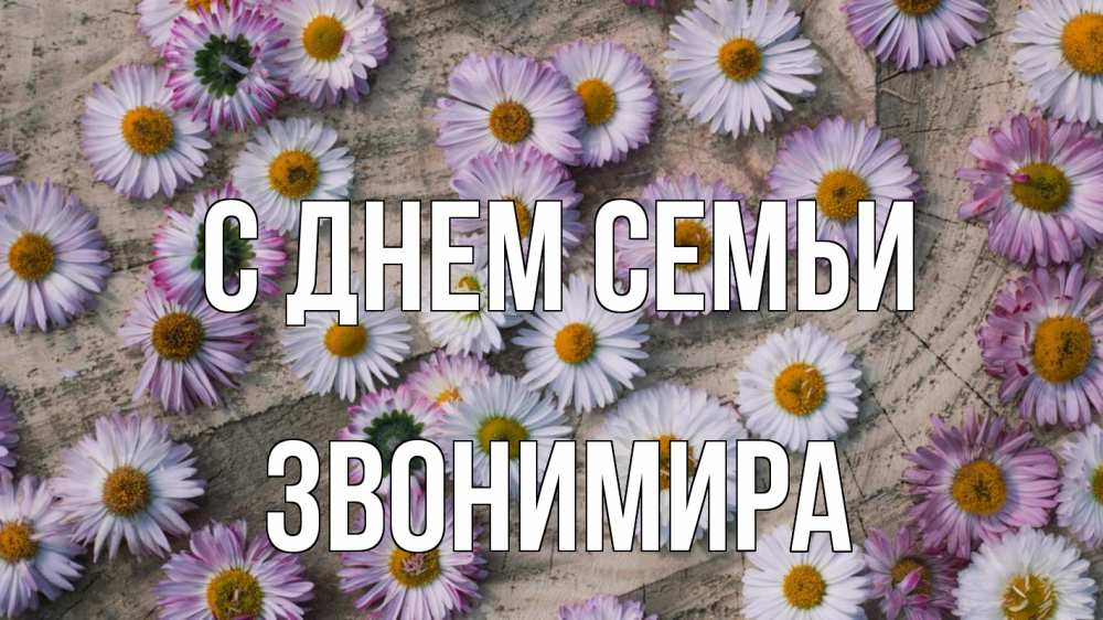 Открытка на каждый день з підписом, Звонимира С днем семьи с днем семьи Прикольна листівка з побажанням онлайн скачати безкоштовно 