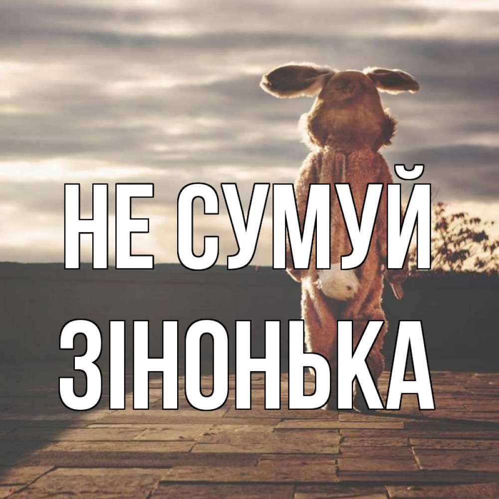 Открытка на каждый день з підписом, Зінонька Не сумуй со спины Прикольна листівка з побажанням онлайн скачати безкоштовно 