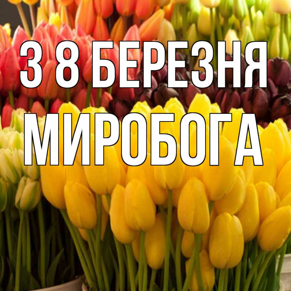 Открытка на каждый день з підписом, Миробога З 8 БЕРЕЗНЯ цветы Прикольна листівка з побажанням онлайн скачати безкоштовно 