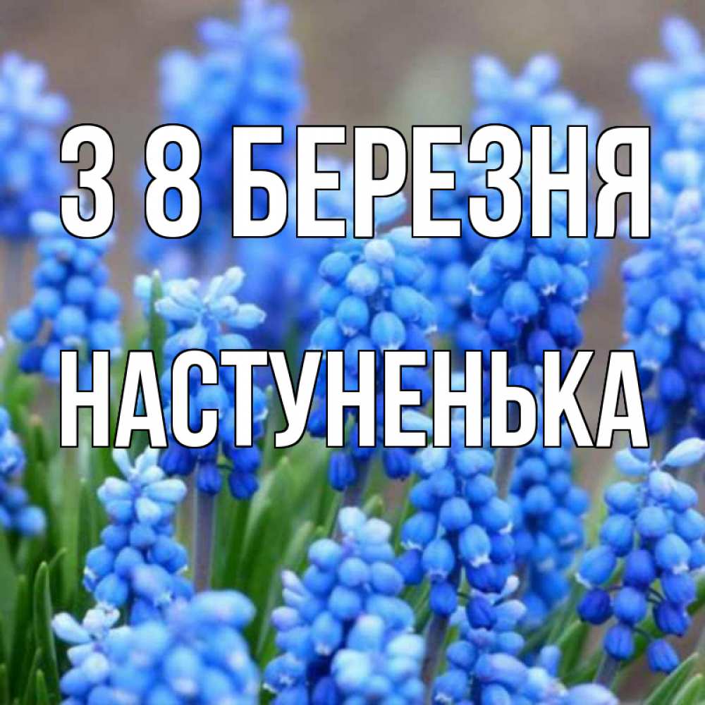 Открытка на каждый день з підписом, Настуненька З 8 БЕРЕЗНЯ Поздравительная открытка для женщин с цветами на праздничную дату Прикольна листівка з побажанням онлайн скачати безкоштовно 