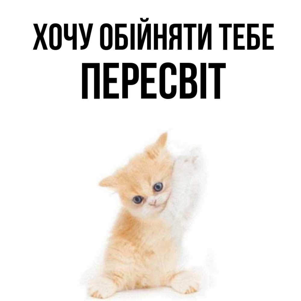 Открытка на каждый день з підписом, Пересвіт Хочу обійняти тебе я хочу очень скорее обнимаешек Прикольна листівка з побажанням онлайн скачати безкоштовно 