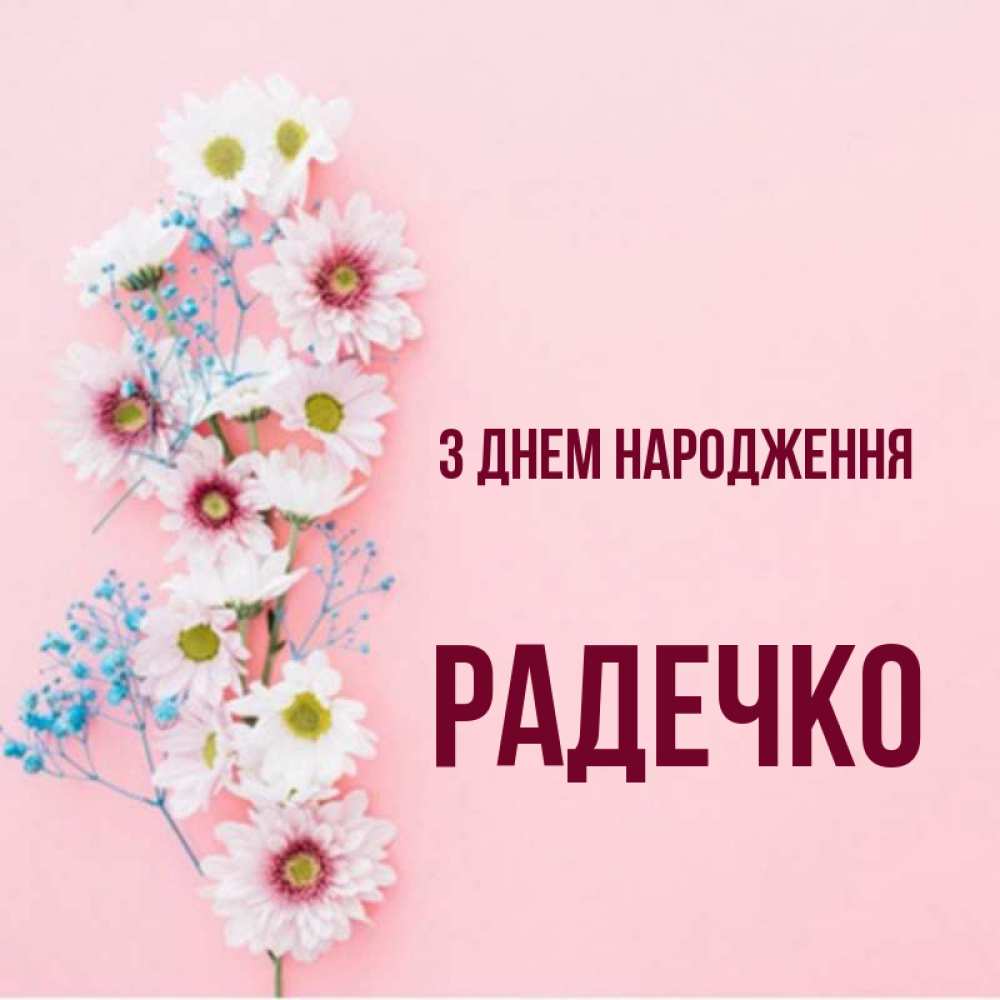 Открытка на каждый день з підписом, Радечко З Днем народження Родная моя с днем рождения тебя картинка с цветами белыми и голубыми Прикольна листівка з побажанням онлайн скачати безкоштовно 