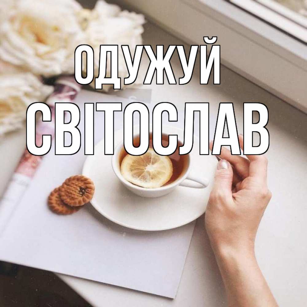 Открытка на каждый день з підписом, Світослав Одужуй и печеньками Прикольна листівка з побажанням онлайн скачати безкоштовно 
