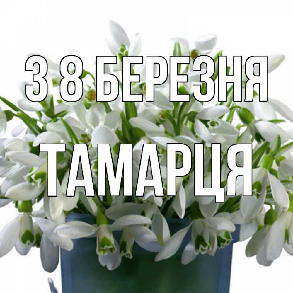 Открытка на каждый день з підписом, Тамарця З 8 БЕРЕЗНЯ цветы к международному женскому дню Прикольна листівка з побажанням онлайн скачати безкоштовно 
