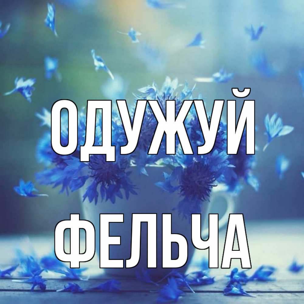 Открытка на каждый день з підписом, Фельча Одужуй кружка с зельем и цветами Прикольна листівка з побажанням онлайн скачати безкоштовно 