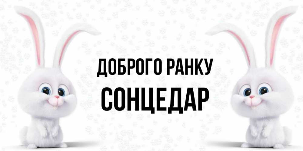 Открытка на каждый день з підписом, Сонцедар Доброго ранку кролики с длинными ушками Прикольна листівка з побажанням онлайн скачати безкоштовно 