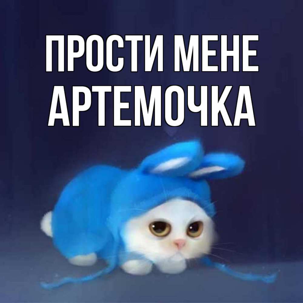 Открытка на каждый день з підписом, Артемочка Прости мене невинный котозай просит прощения Прикольна листівка з побажанням онлайн скачати безкоштовно 