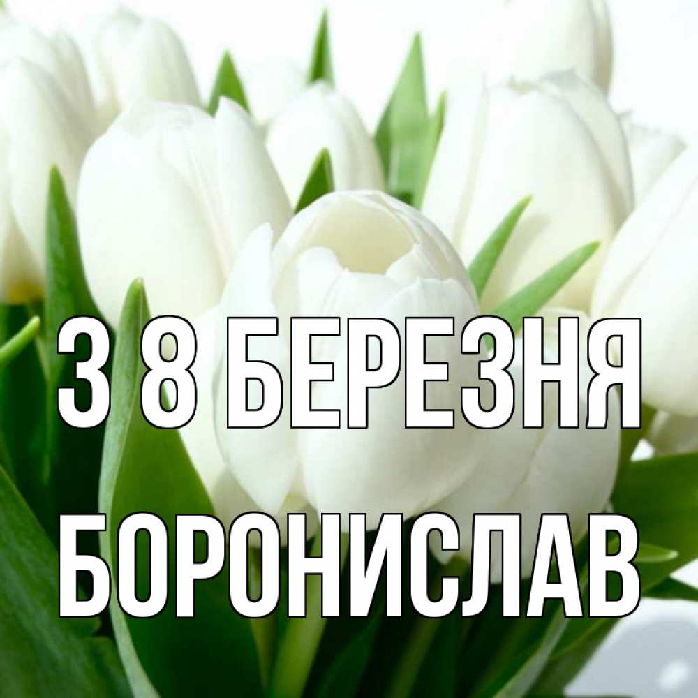 Открытка на каждый день з підписом, Боронислав З 8 БЕРЕЗНЯ цветы Прикольна листівка з побажанням онлайн скачати безкоштовно 