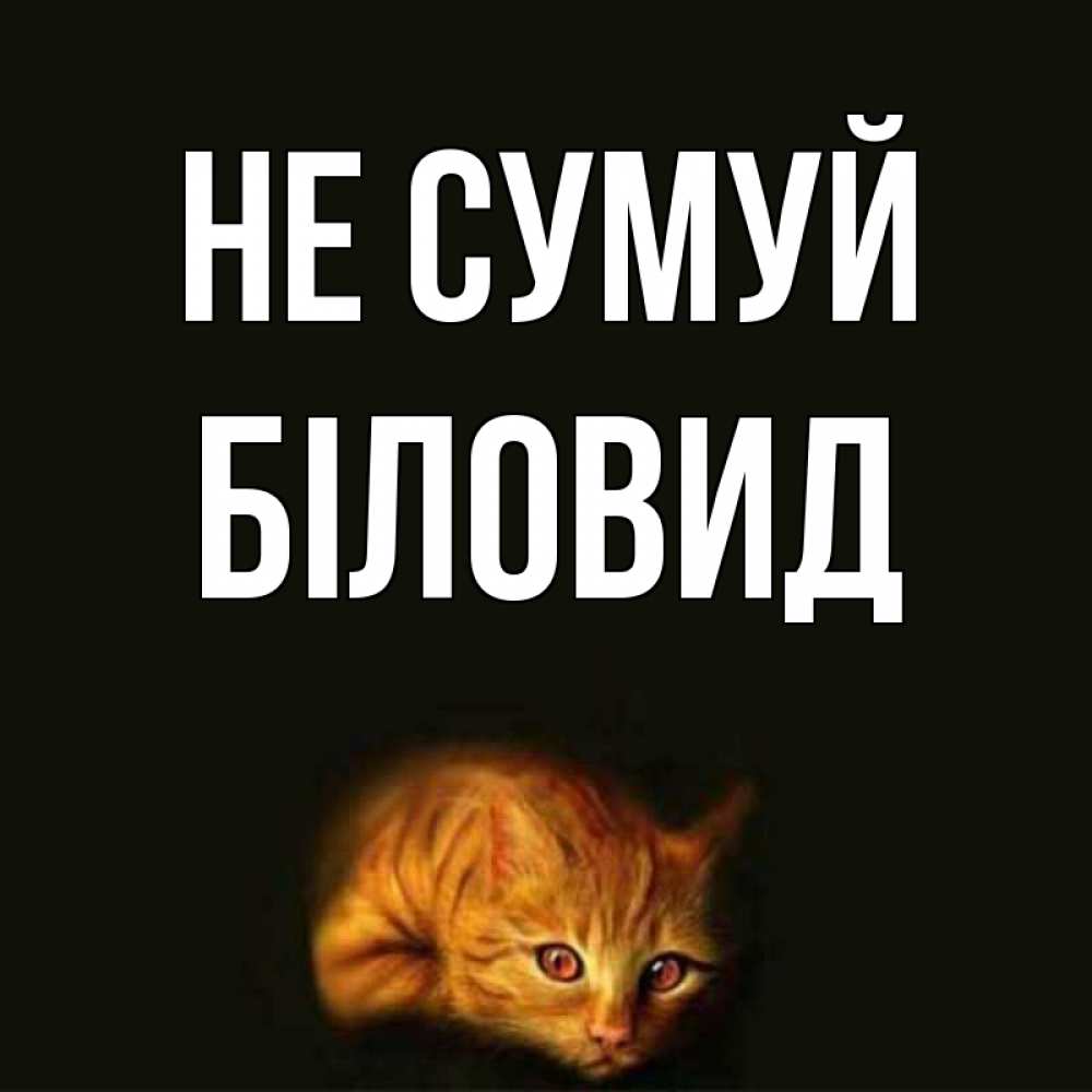 Открытка на каждый день з підписом, Біловид Не сумуй лежащий кот в темноте Прикольна листівка з побажанням онлайн скачати безкоштовно 