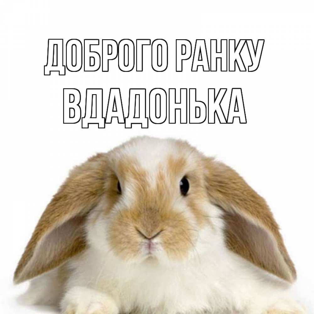 Открытка на каждый день з підписом, Вдадонька Доброго ранку прикольные открытки на каждый день Прикольна листівка з побажанням онлайн скачати безкоштовно 