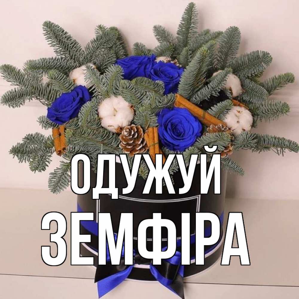 Открытка на каждый день з підписом, Земфіра Одужуй короче кто то загрузил эти шишки Прикольна листівка з побажанням онлайн скачати безкоштовно 
