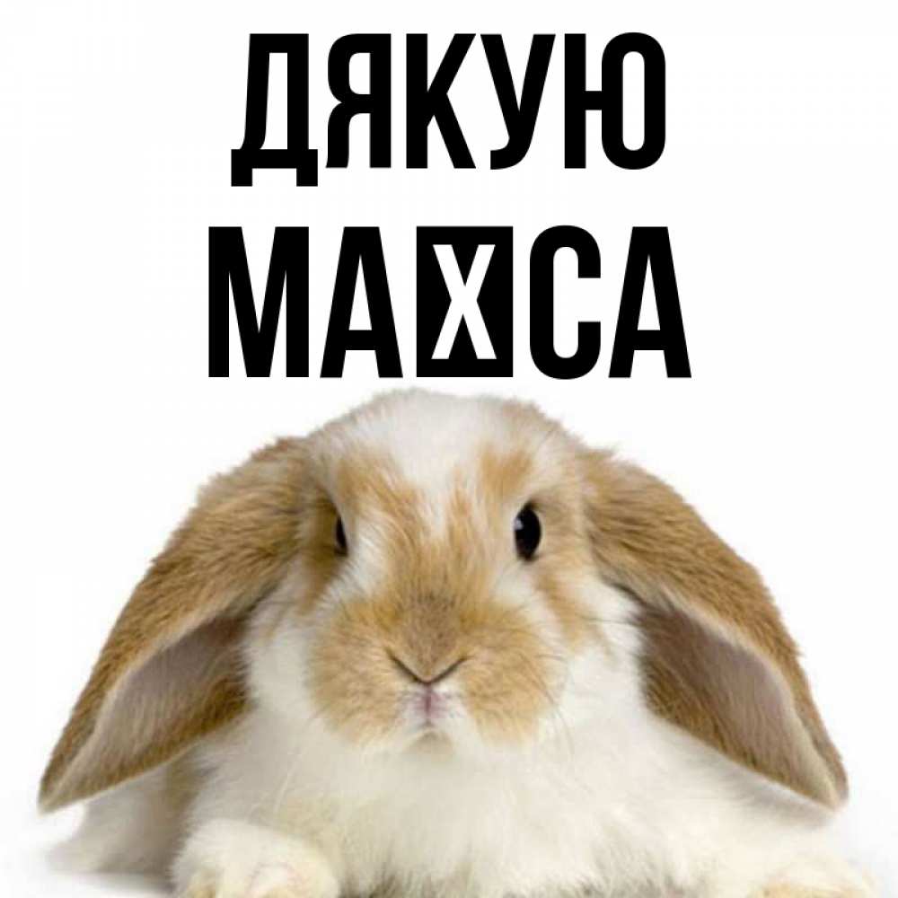 Открытка на каждый день з підписом, Маїса Дякую коричнево белый заяц Прикольна листівка з побажанням онлайн скачати безкоштовно 