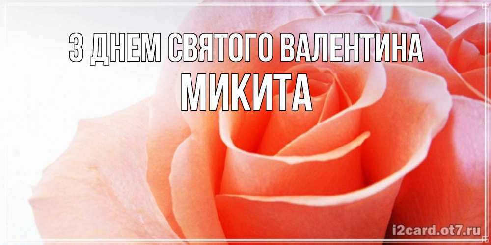 Открытка на каждый день з підписом, Микита З Днем Святого Валентина открытка на день Святого Валентина с розовой розой Прикольна листівка з побажанням онлайн скачати безкоштовно 