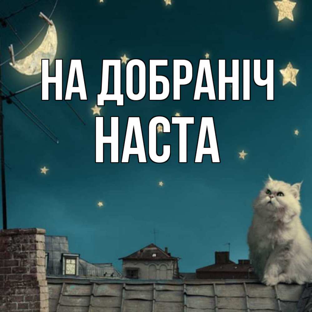 Открытка на каждый день з підписом, Наста На добраніч белый кот сидит на крыше Прикольна листівка з побажанням онлайн скачати безкоштовно 
