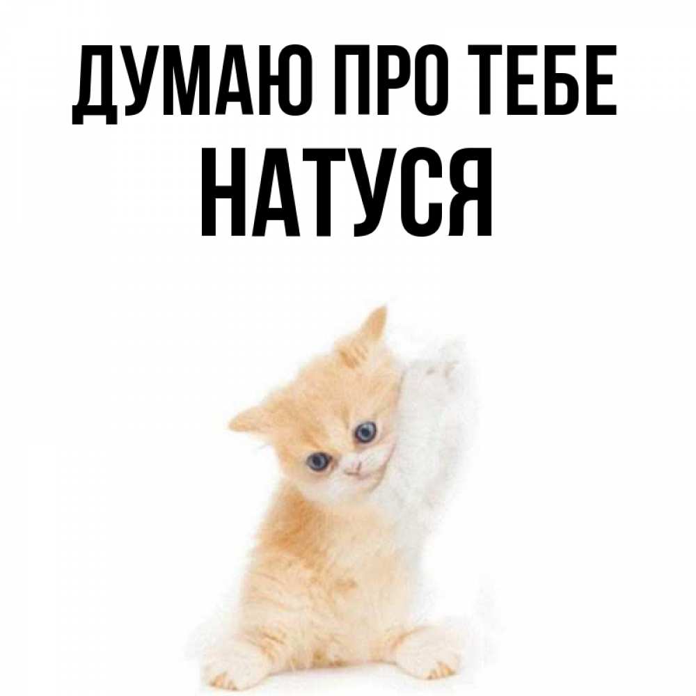 Открытка на каждый день з підписом, Натуся Думаю про тебе зверушки и милота Прикольна листівка з побажанням онлайн скачати безкоштовно 