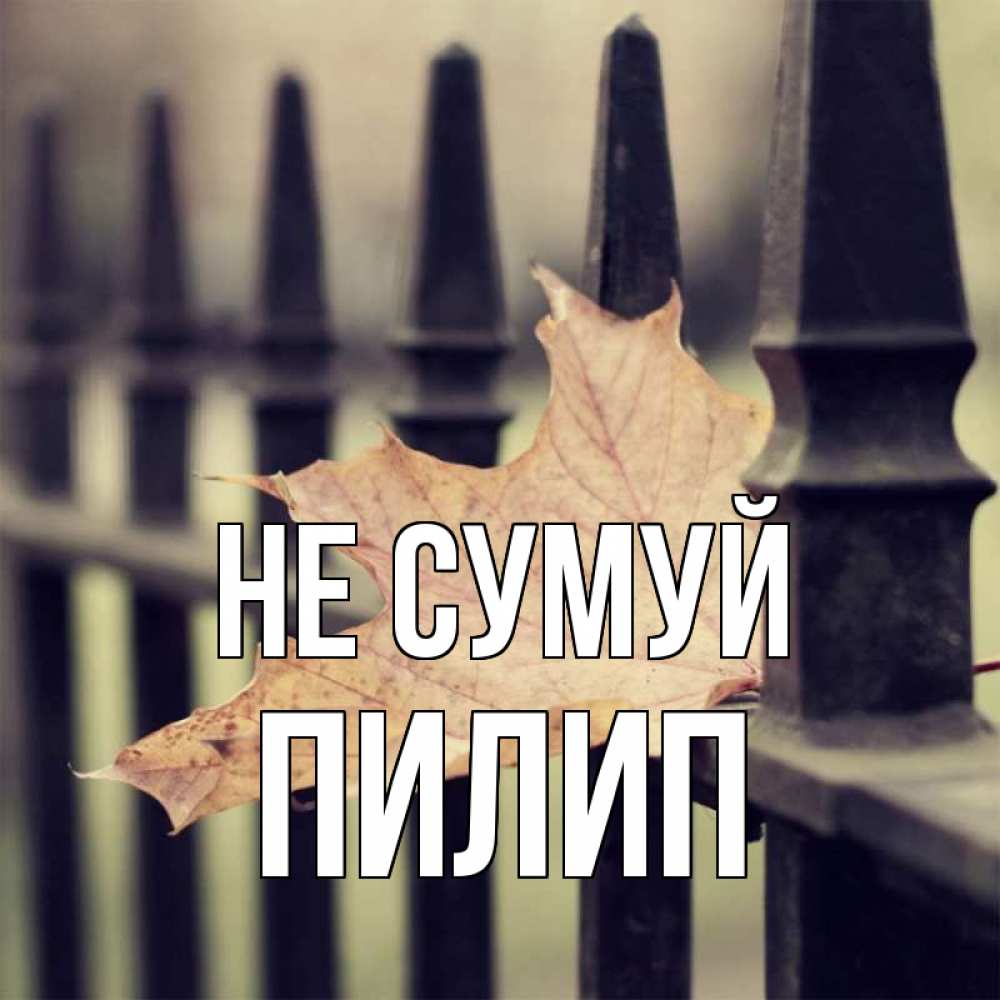 Открытка на каждый день з підписом, Пилип Не сумуй лист клена Прикольна листівка з побажанням онлайн скачати безкоштовно 