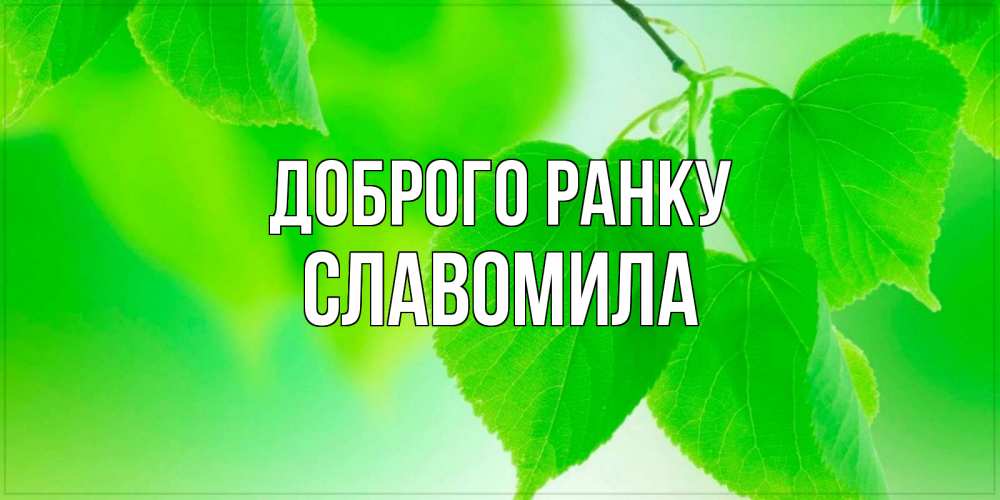 Открытка на каждый день з підписом, Славомила Доброго ранку доброе утро с березовыми листьями Прикольна листівка з побажанням онлайн скачати безкоштовно 