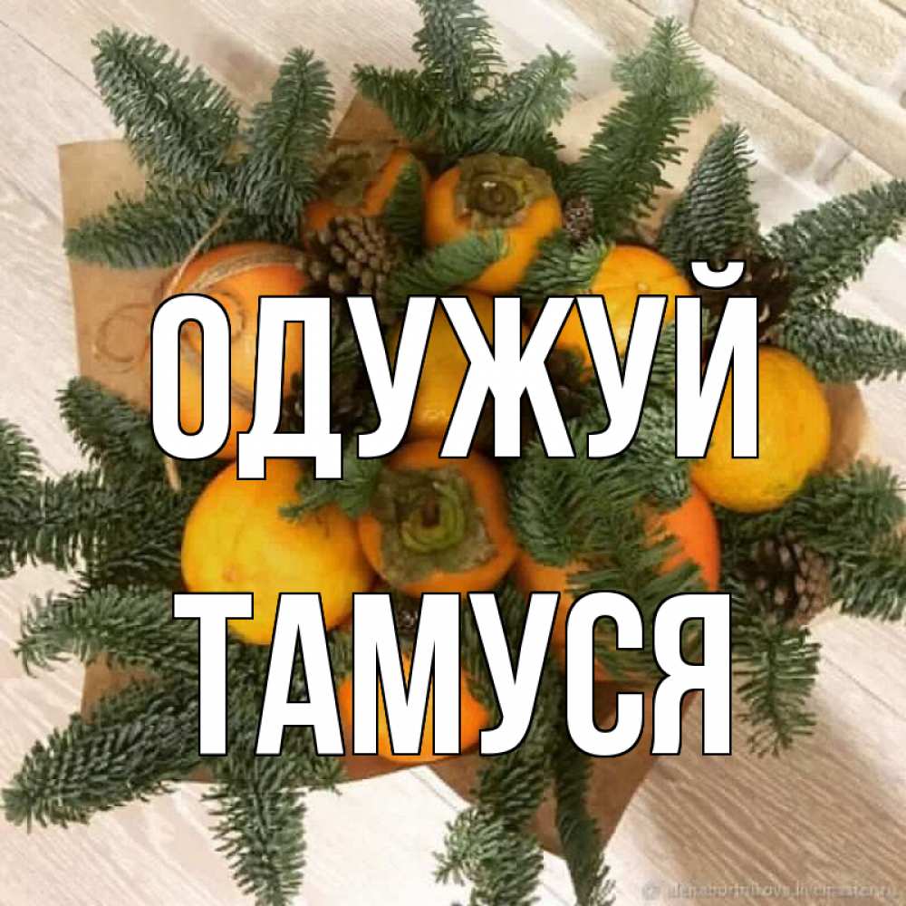 Открытка на каждый день з підписом, Тамуся Одужуй апельсины и хурьма Прикольна листівка з побажанням онлайн скачати безкоштовно 