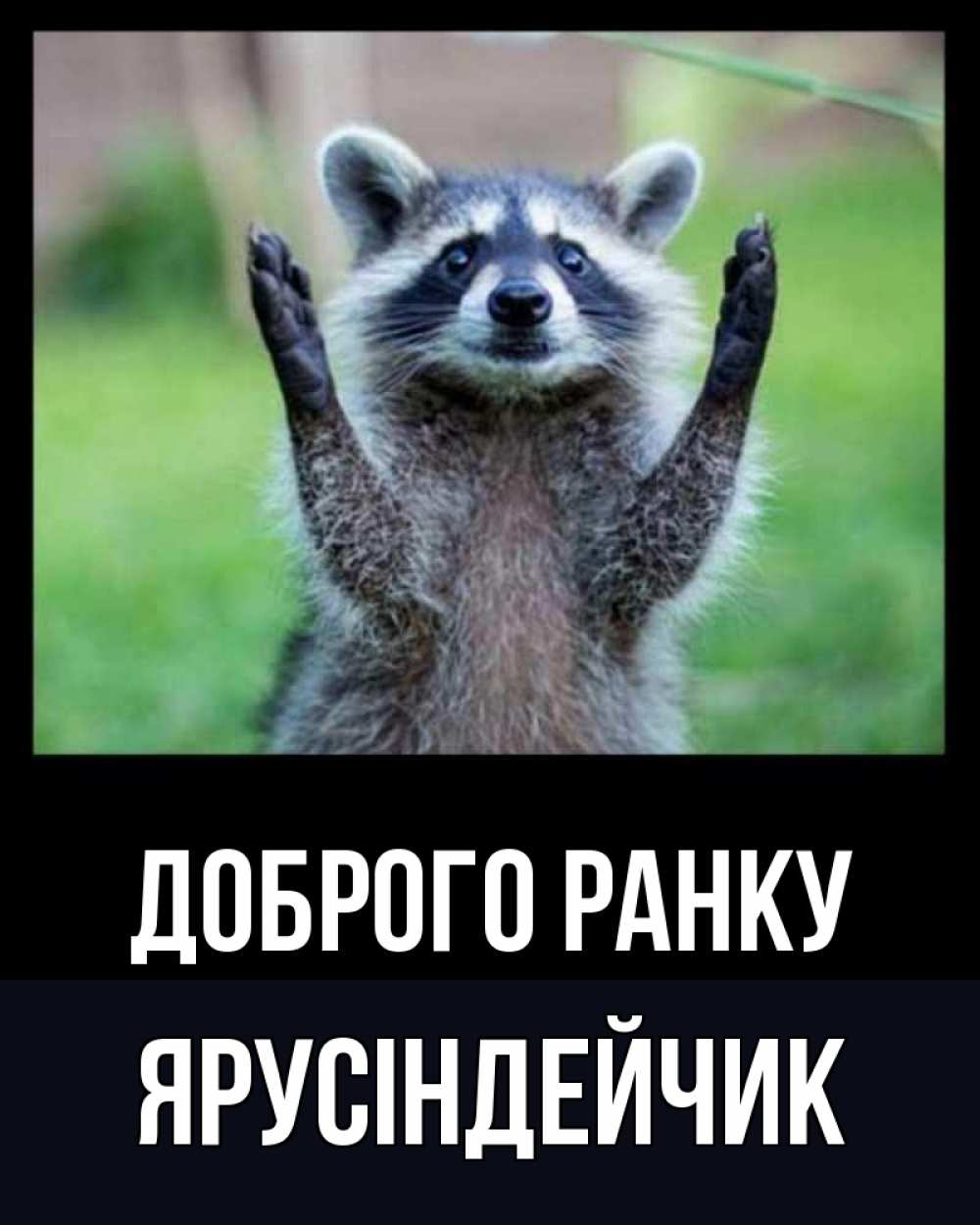 Открытка на каждый день з підписом, Ярусіндейчик Доброго ранку хорошее настроение утречком Прикольна листівка з побажанням онлайн скачати безкоштовно 