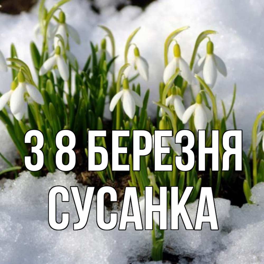 Открытка на каждый день з підписом, Сусанка З 8 БЕРЕЗНЯ цветы весенние Прикольна листівка з побажанням онлайн скачати безкоштовно 