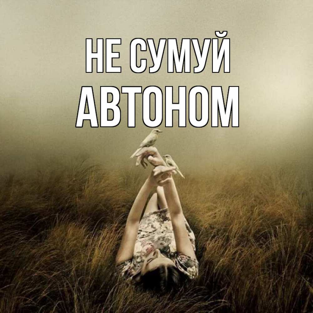 Открытка на каждый день з підписом, Автоном Не сумуй поле и туман Прикольна листівка з побажанням онлайн скачати безкоштовно 