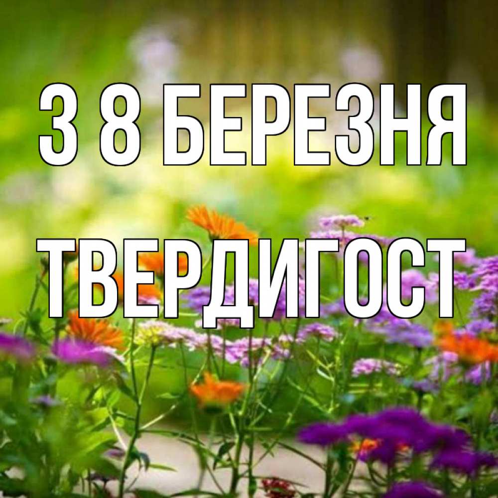 Открытка на каждый день з підписом, Твердигост З 8 БЕРЕЗНЯ цветы Прикольна листівка з побажанням онлайн скачати безкоштовно 