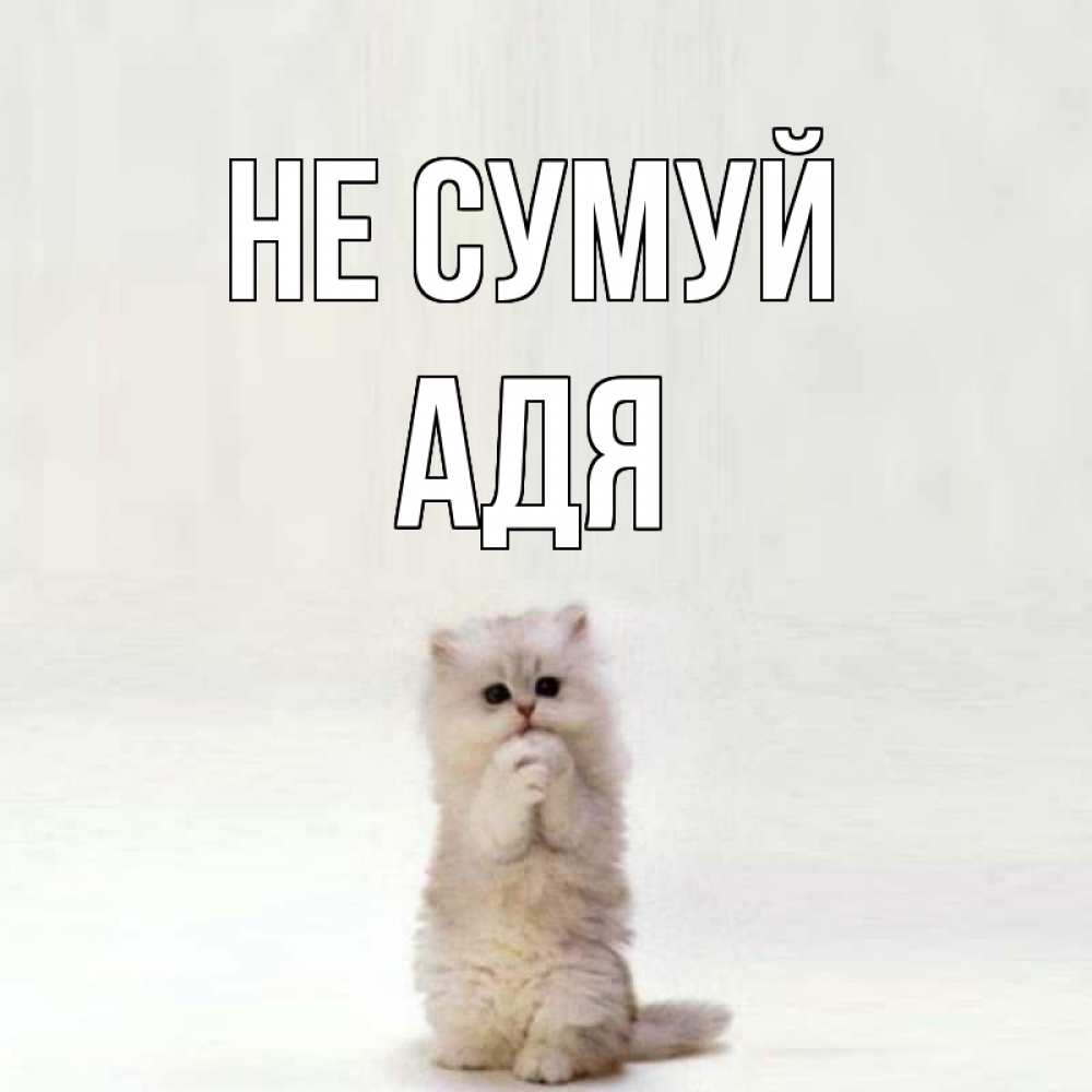 Открытка на каждый день з підписом, Адя Не сумуй грустный кот Прикольна листівка з побажанням онлайн скачати безкоштовно 