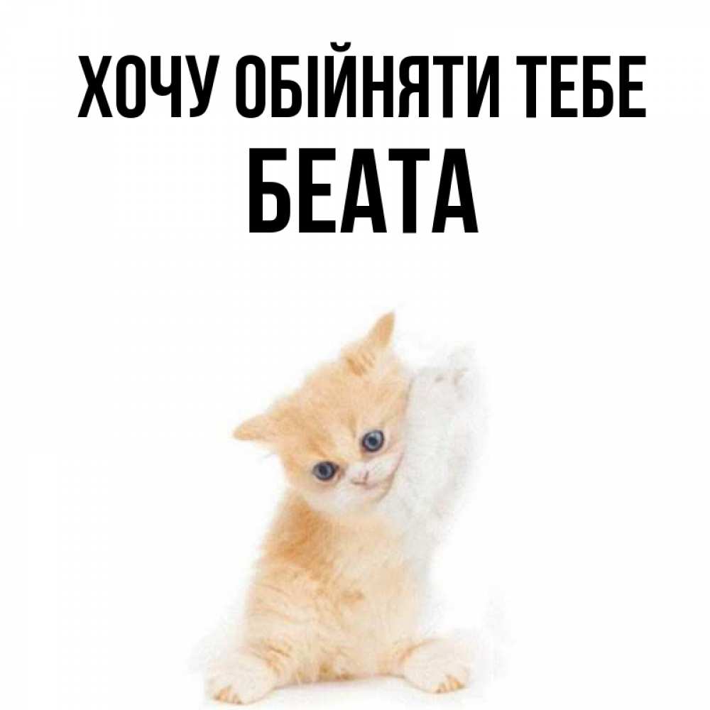 Открытка на каждый день з підписом, Беата Хочу обійняти тебе я хочу очень скорее обнимаешек Прикольна листівка з побажанням онлайн скачати безкоштовно 