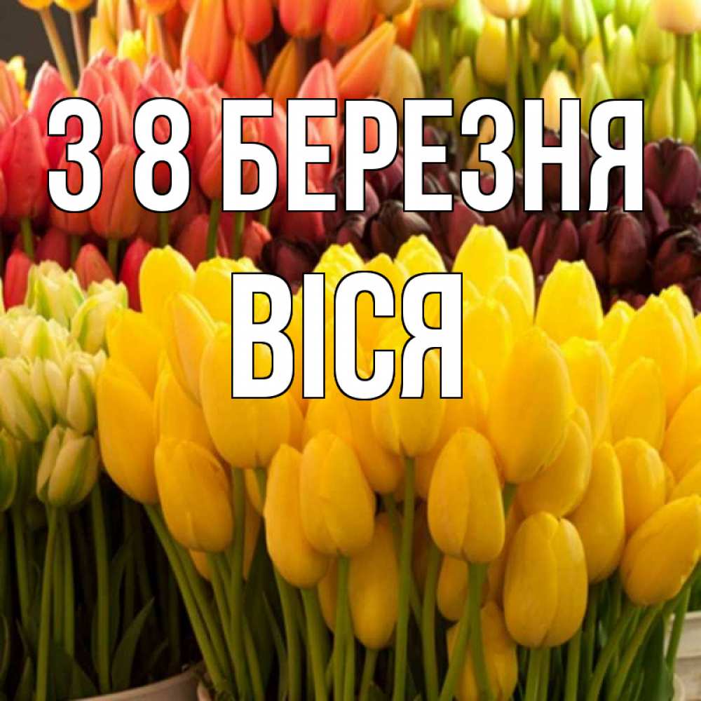 Открытка на каждый день з підписом, Віся З 8 БЕРЕЗНЯ цветы Прикольна листівка з побажанням онлайн скачати безкоштовно 
