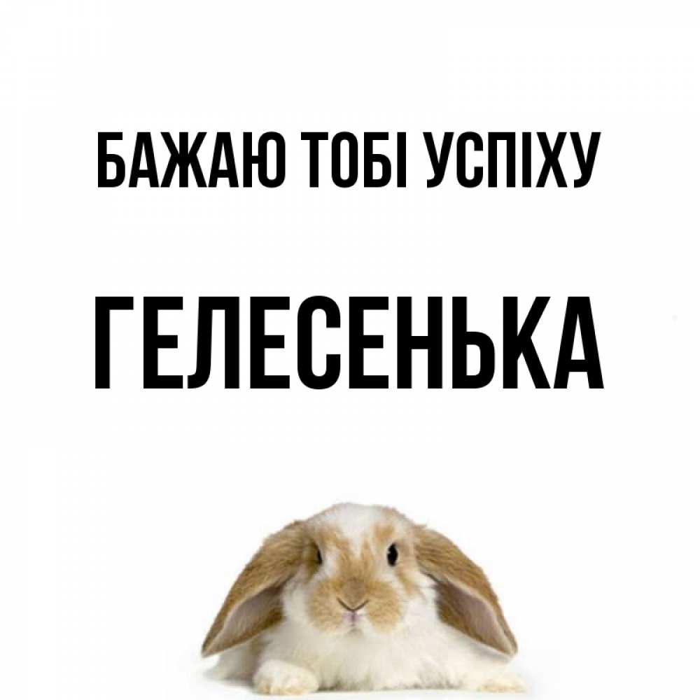Открытка на каждый день з підписом, Гелесенька Бажаю тобі успіху открытки с произвольным текстом который можно вставить в открытку и создать ее самостоятельно бесплатно онлайн Прикольна листівка з побажанням онлайн скачати безкоштовно 