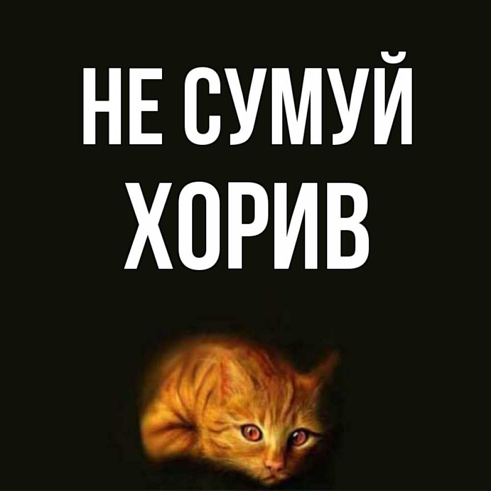 Открытка на каждый день з підписом, Хорив Не сумуй лежащий кот в темноте Прикольна листівка з побажанням онлайн скачати безкоштовно 