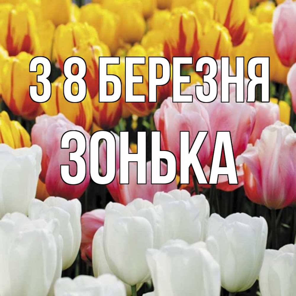 Открытка на каждый день з підписом, Зонька З 8 БЕРЕЗНЯ разноцветные цветы Прикольна листівка з побажанням онлайн скачати безкоштовно 