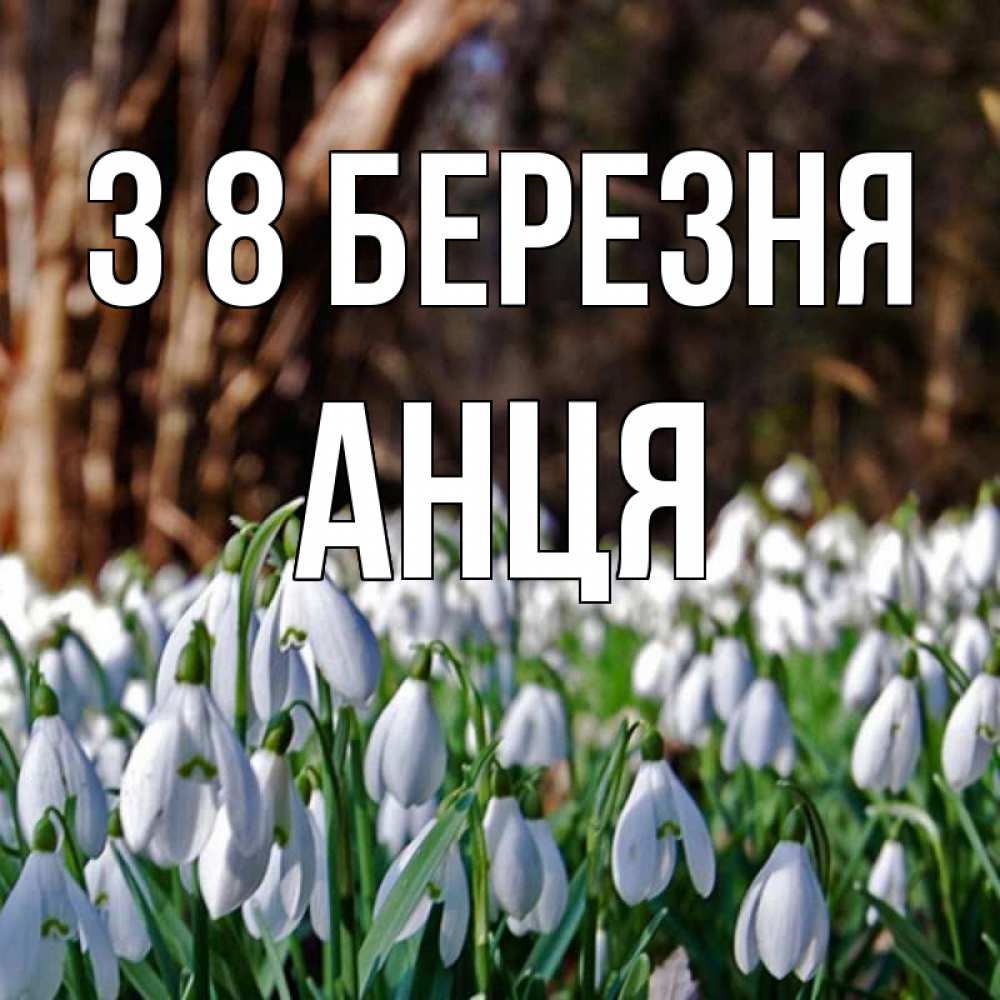 Открытка на каждый день з підписом, Анця З 8 БЕРЕЗНЯ с подснежниками 1 Прикольна листівка з побажанням онлайн скачати безкоштовно 