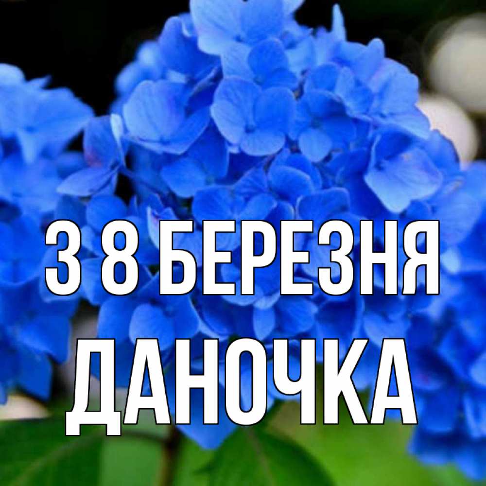 Открытка на каждый день з підписом, Даночка З 8 БЕРЕЗНЯ синие цветы Прикольна листівка з побажанням онлайн скачати безкоштовно 