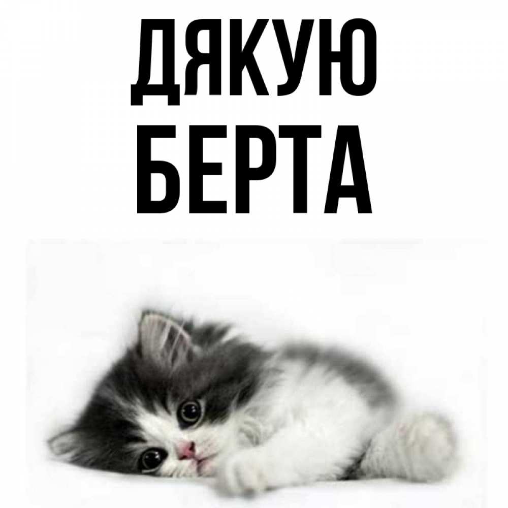 Открытка на каждый день з підписом, Берта Дякую черный и белый кот Прикольна листівка з побажанням онлайн скачати безкоштовно 