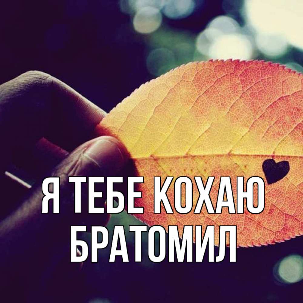 Открытка на каждый день з підписом, Братомил Я тебе кохаю держу лист Прикольна листівка з побажанням онлайн скачати безкоштовно 