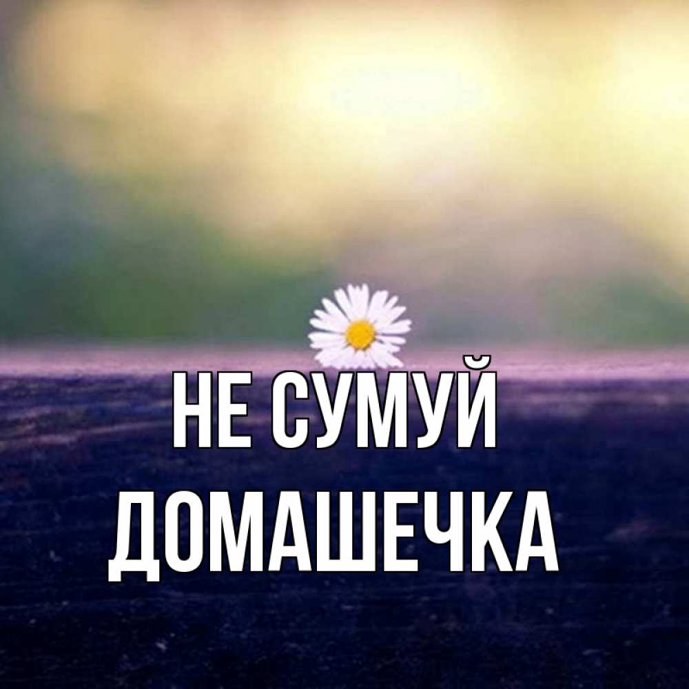 Открытка на каждый день з підписом, Домашечка Не сумуй красота Прикольна листівка з побажанням онлайн скачати безкоштовно 