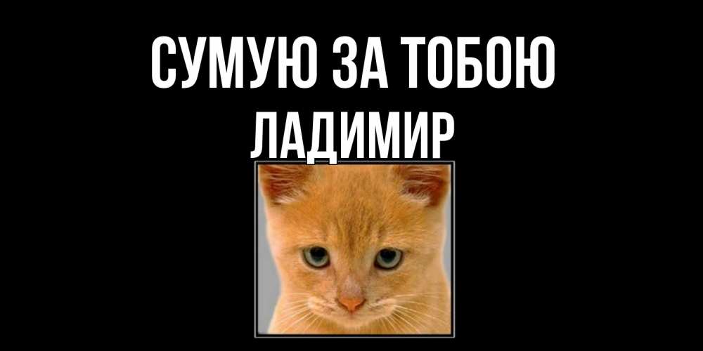 Открытка на каждый день з підписом, Ладимир Сумую за тобою открытки рыжий котенок скучает по тебе Прикольна листівка з побажанням онлайн скачати безкоштовно 