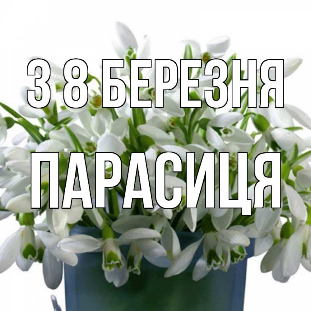 Открытка на каждый день з підписом, Парасиця З 8 БЕРЕЗНЯ цветы к международному женскому дню Прикольна листівка з побажанням онлайн скачати безкоштовно 