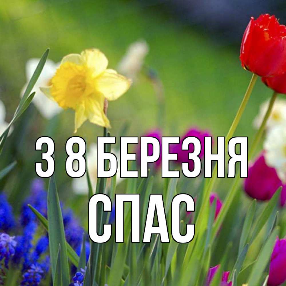 Открытка на каждый день з підписом, Спас З 8 БЕРЕЗНЯ международный женский день 3 Прикольна листівка з побажанням онлайн скачати безкоштовно 